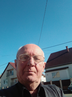 Ferenc, 74 �ves t�rskeres� f�rfi, Kisv�rda