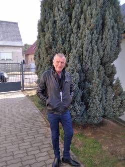 Gyula, 65 �ves t�rskeres� f�rfi, L�batlan