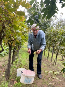 Sándor, 75 éves társkereső férfi, Hajdúhadház