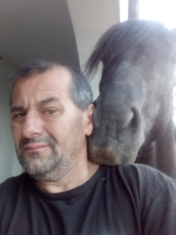 Tibor, 50 �ves t�rskeres� f�rfi, Bonyh�d