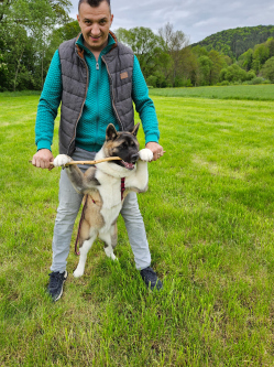 Zsolt, 41 �ves t�rskeres� f�rfi, Baden-W�rttemberg