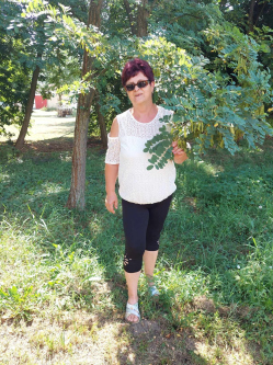 R�zsa, 65 �ves t�rskeres� n�, Dalmand