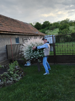Norbert, 40 �ves t�rskeres� f�rfi, Tard