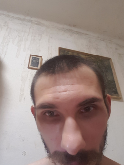 Bandi, 31 �ves t�rskeres� f�rfi, Palotabozsok