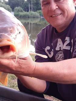 L�szl�, 62 �ves v�rpalotai t�rskeres� f�rfi