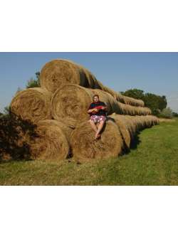 G�bor, 41 �ves t�rskeres� f�rfi, Sopron