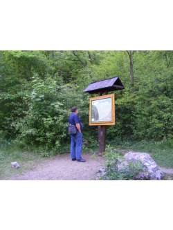 jozsef, 65 �ves t�rskeres� f�rfi, Kemecse