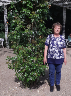 Gizella, 69 �ves t�rskeres� n�, Si�fok
