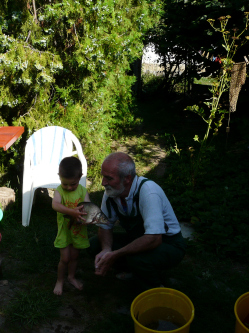 R�bert, 74 �ves t�rskeres� f�rfi, Buda�rs
