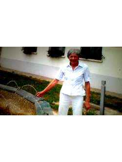 Ani, 71 �ves t�rskeres� n�, Zirc