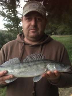 Zsolt, 46 �ves t�rskeres� f�rfi, Kaposv�r