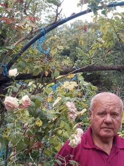 Antal, 67 éves társkereső férfi, Eger