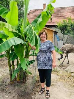 Rozika, 78 �ves t�rskeres� n�, Apaj