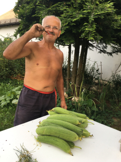 Laszlo, 76 éves társkereső férfi, Őrhalom