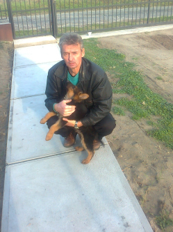 Ferenc, 65 �ves t�rskeres� f�rfi, Hern�d