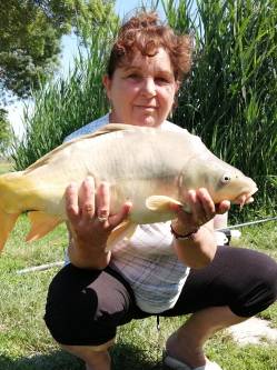 Edit, 64 �ves usz�di t�rskeres� n�
