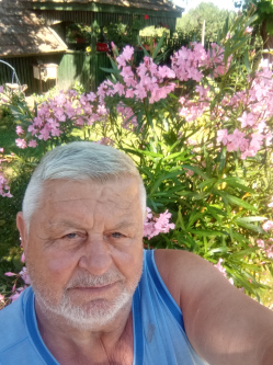 Sándor, 71 éves társkereső férfi, Pilis
