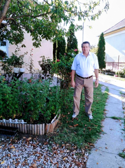 Tomi, 78 �ves t�rskeres� f�rfi, T�pi�bicske