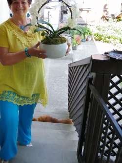 Krisztina, 70 �ves t�rskeres� n�, Veszpr�m