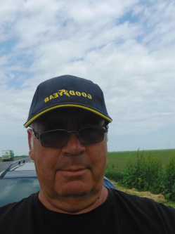 Ott�, 68 �ves t�rskeres� f�rfi, Enying