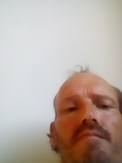 albert, 47 �ves budapesti t�rskeres� f�rfi