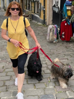 Fr�zia, 59 �ves t�rskeres� n�, Tatab�nya