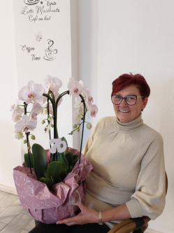 R�zsa, 70 �ves t�rskeres� n�, Balatonlelle