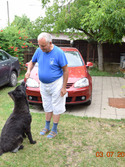 Zolt�n, 68 �ves t�rskeres� f�rfi, Kassa