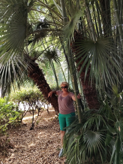 Gy�ngyi, 66 �ves t�rskeres� n�, Derecske