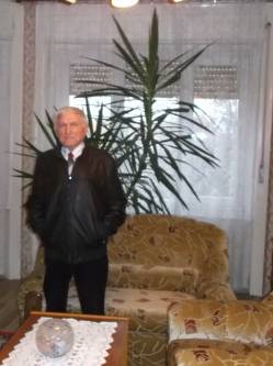 K�roly, 87 �ves t�rskeres� f�rfi, Enying