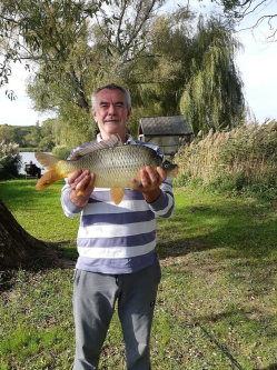 Attila, 62 �ves p�csi t�rskeres� f�rfi