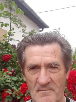 G�bor, 70 �ves t�rskeres� f�rfi, Hatvan