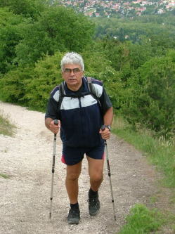 J�zsef, 73 �ves t�rskeres� f�rfi, Szentendre
