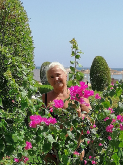 Terike, 72 �ves t�rskeres� n�, Sorkifalud
