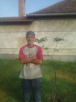Zsolt, 59 �ves t�rskeres� f�rfi, S�ndorfalva